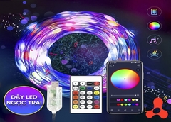 DÂY ĐÈN LED ĐỔI MÀU RGB NGỌC TRAI 10M