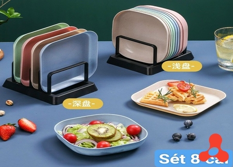 SET 8 DĨA LÚA MẠCH NHIỀU MÀU